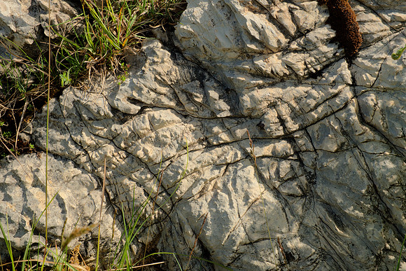 DetaI, Exposed Limestone