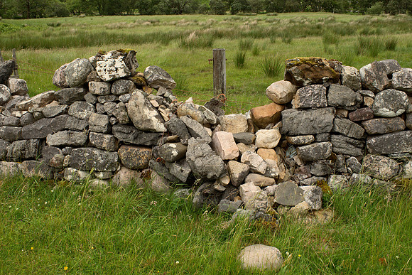 Fences in Disrepair