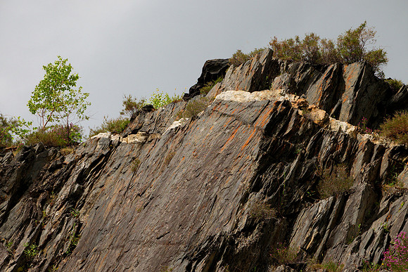 Quartz Vein in Slate