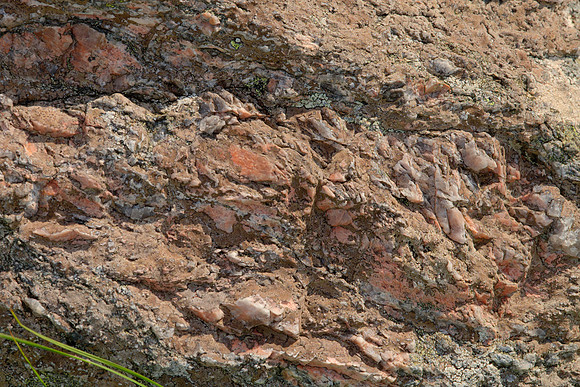 Lewisian Gneiss Detail I