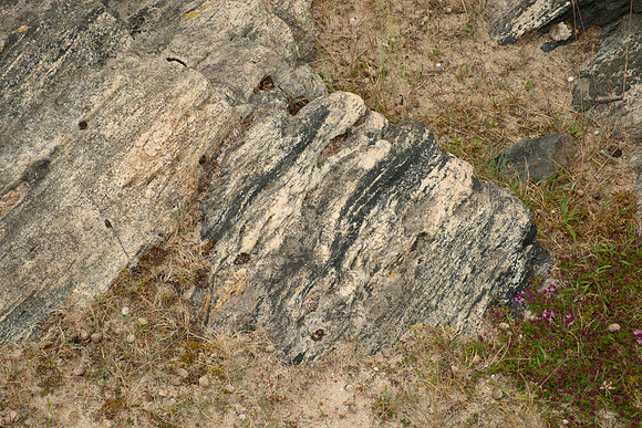 Lewisian Gneiss and Intrusive Material II