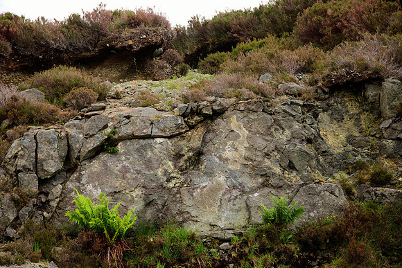 Rock, Soil, Life
