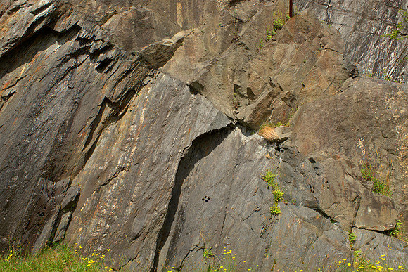 Diabase Dyke in Slate
