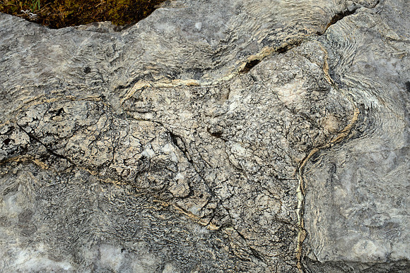 Pattern in Marble