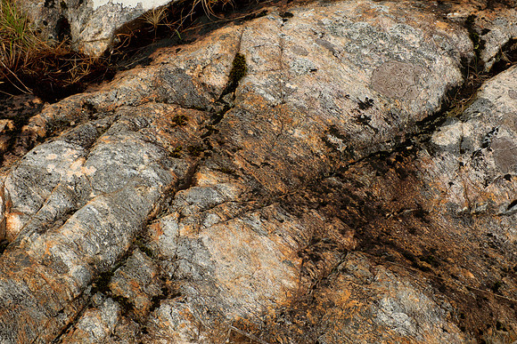 Mylonitized Gneiss I