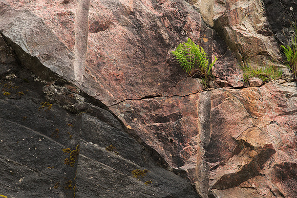 Painted Rocks V