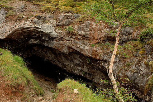Birch and Cave