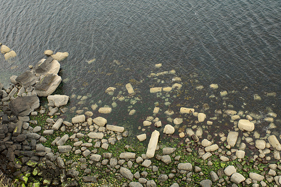 Fallen Pieces