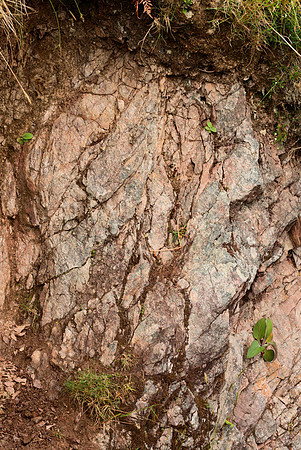 Mylonitized Gneiss II