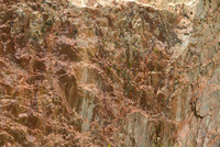 Quartzite Detail
