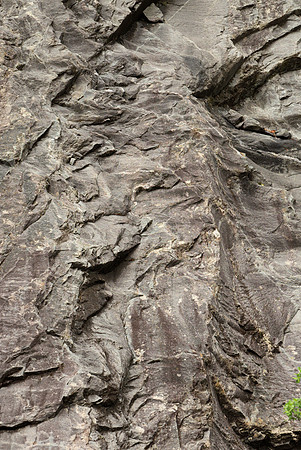Crenulations in Phyllite