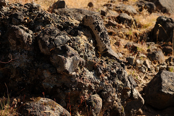 Basaltic Breccia