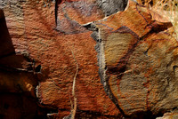 Face of a Weathered Boulder