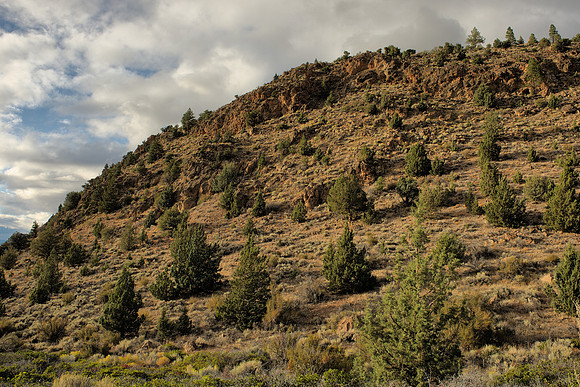 Volcanic Hill