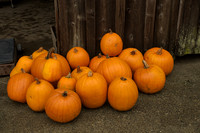 Orange Pumpkins