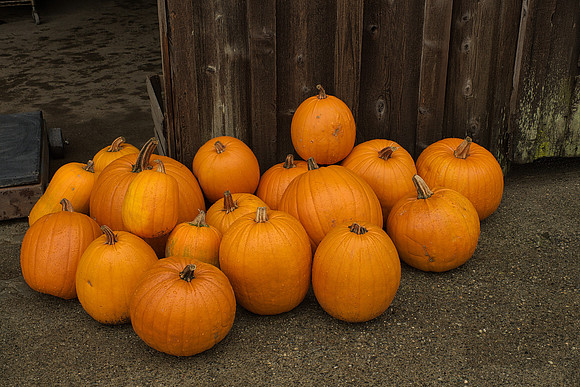 Orange Pumpkins