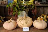 Warty Pumpkins