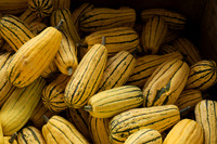 Some Kind of Yellow Squash