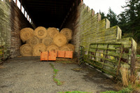 Stored Hay
