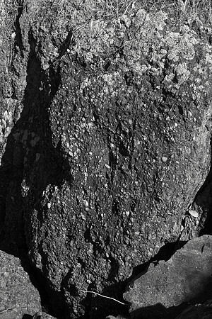 Amygdaloidal Basalt