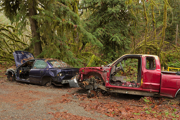 Abandoned Cars on a Roadside