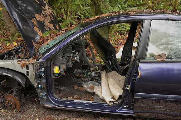 Automotive Carcass
