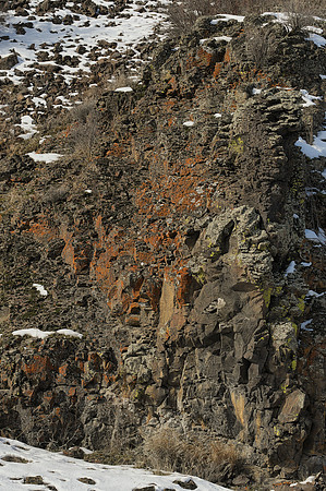 Basalt Cliff With Lichens