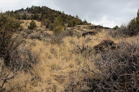 Schonchin Butte