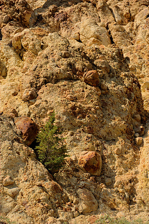 Cliff of Loose Material
