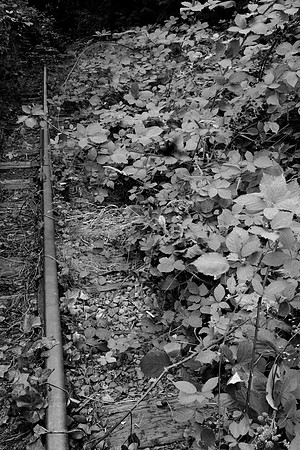 A Railroad to Nowhere