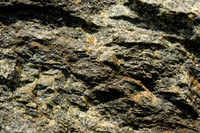 Dunite Detail
