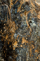 Dunite Surface with Lichens