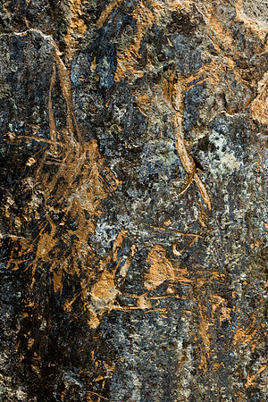 Dunite Surface with Lichens