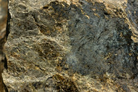 Dunite Detail