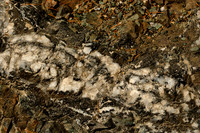 Phyllite with Quartz and Stopnomelane