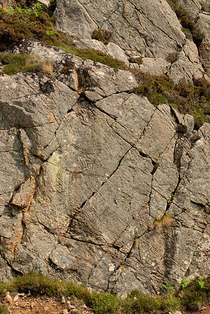 Lewisian Gneiss With Cracks