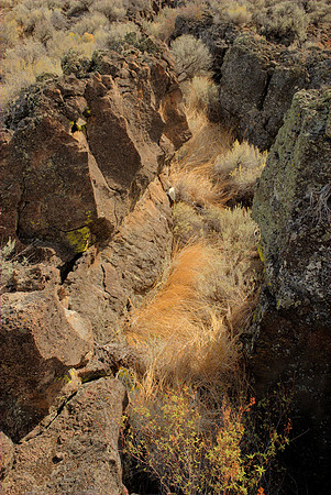Fissure