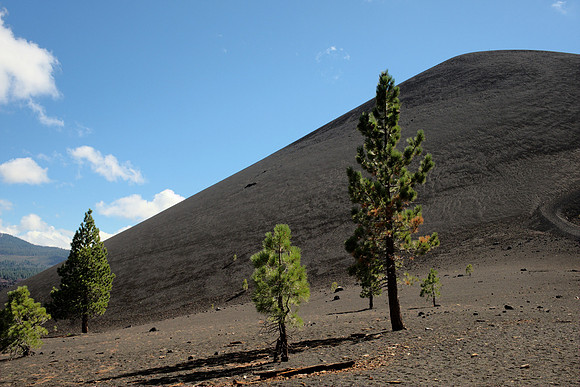 Cinder Cone