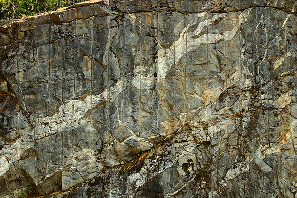 Metamorphic Lines