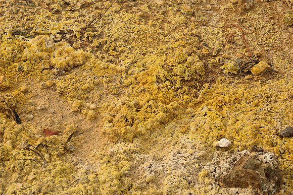 Sulfur deposits, Sulfur Works, Mt. Lassen NP