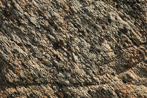 Lewisian Gneiss Detail II