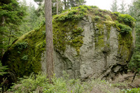 The Waterman Erratic on Whidbey Island