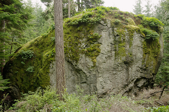 The Waterman Erratic on Whidbey Island