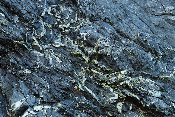 Sea Cliff Detail
