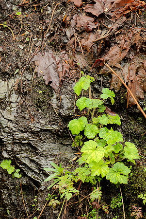 Life and Decay