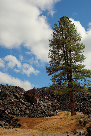 Ponderosa and Lava Flow