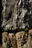 Ancient Lava Flows, Columbia Gorge