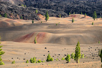 Painted Dunes
