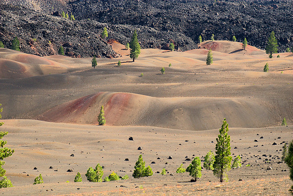 Painted Dunes