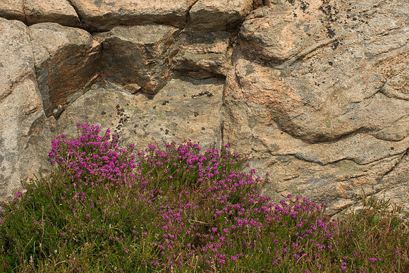 Heather and Gneiss